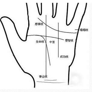 手相：九大財富紋是哪些，九大財富紋的含義