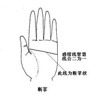 通貫掌是什么樣的，通貫掌圖解，真實的通貫掌模樣