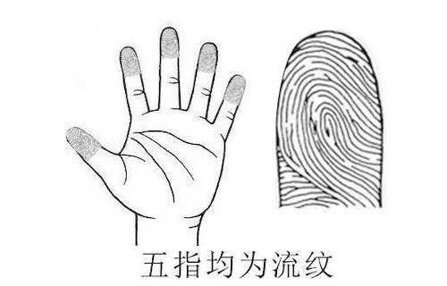 手上都是流紋代表什么，手上都是流紋是不是不好