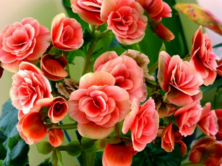 2019年處暑前一天農歷七月二十二日子是黃道吉日嗎,今日不宜做什么?(圖文)