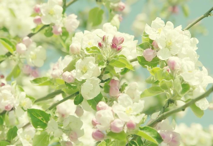 白羊座2019年五月份運(yùn)勢如何？完整版解析！(圖文)