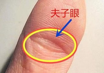 鳳眼紋和夫子眼有什么區別