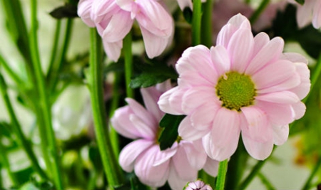 2019年處暑前一天農歷七月二十二日子是黃道吉日嗎,今日不宜做什么?(圖文)