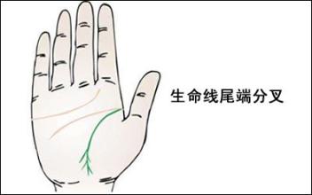 生命線末端有島紋代表什么，有什么含義