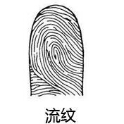 手上都是流紋代表什么，手上都是流紋是不是不好