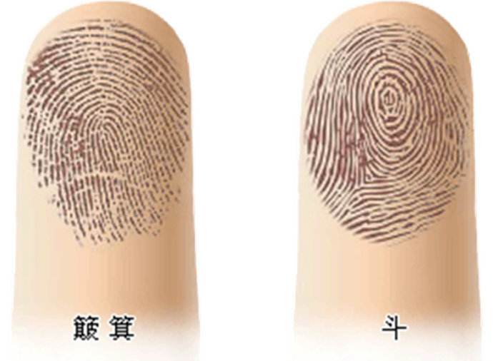 指紋“斗”多好還是“簸箕”多好？指紋如何算命？(圖文)