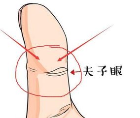 鳳眼紋和夫子眼有什么區別