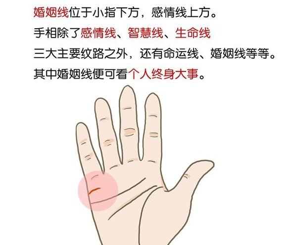 手掌紋路圖解析你的命運