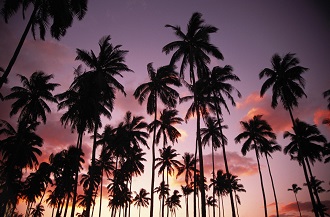 癸亥年大海水命適合佩戴什么 癸亥年大海水命適合佩戴什么