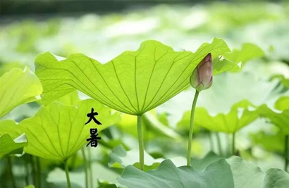 大暑是入伏首座天嗎2019年大暑時間幾點幾分？(圖文)