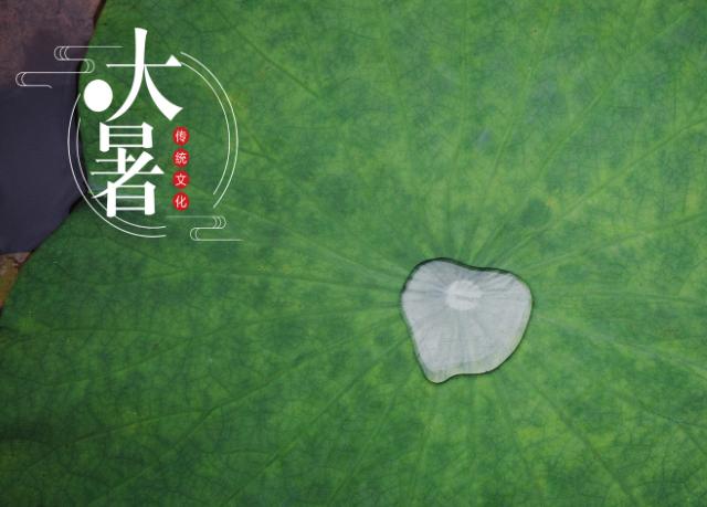 2019年大暑節(jié)氣可以拔罐嗎,大暑拔罐需要注意什么？(圖文)