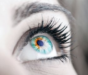 死魚眼的人命運好不好