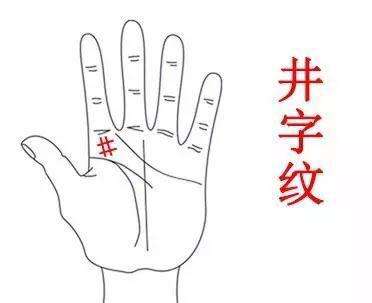 手相：九大財富紋是哪些，九大財富紋的含義
