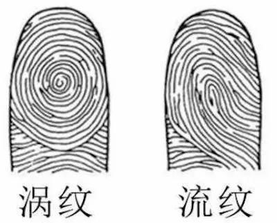 手上都是流紋代表什么，手上都是流紋是不是不好