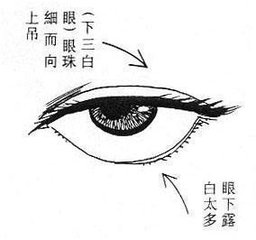 下三白眼面相詳細分析