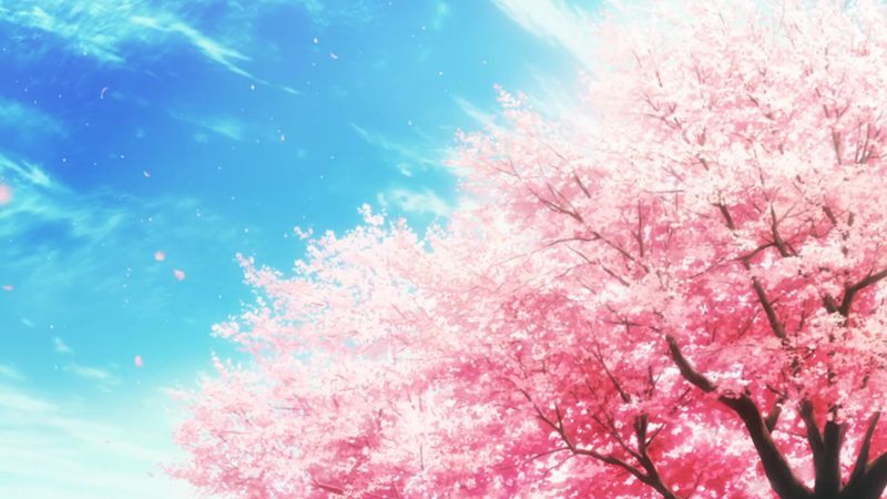 2019年一月白羊座的桃花運(圖文)
