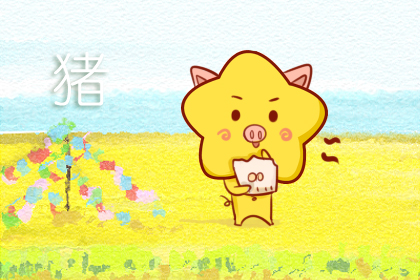 屬豬的女人有幾次婚姻 屬豬擇偶觀(圖文)