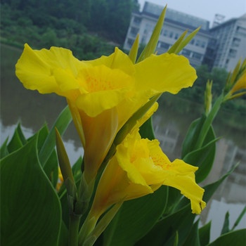 白羊座有哪些避暑的高招(圖文)