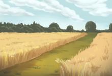 家里的燒水壺用這個顏色可以家庭越來越幸福