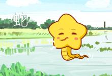 屬蛇的人五行屬什么 各屬性的蛇命運