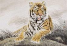 1986年屬虎人的子女緣分，子女會給帶來什么