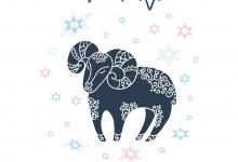 屬牛白羊座2019運勢詳解