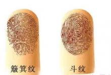 指紋十個斗好還是十個簸箕好？各象征著什么？