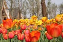 2019年2月25日生子刨腹產(chǎn)好嗎 日子怎么樣