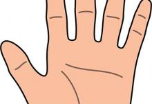 看手相要遵循的原則是什么？