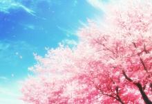 2019年一月白羊座的桃花運