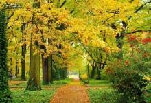 四柱八字排盤喜用神算命免費(fèi) 什么是喜用神？