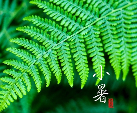 2019年農歷六月初五小暑出生孩子五行缺什么,是不是富貴命？(圖文)