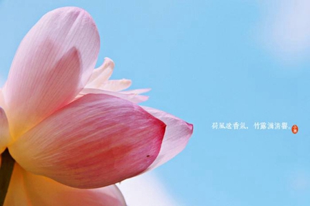 2019年小暑下雨吉不吉利,小暑下雨有什么說法？(圖文)