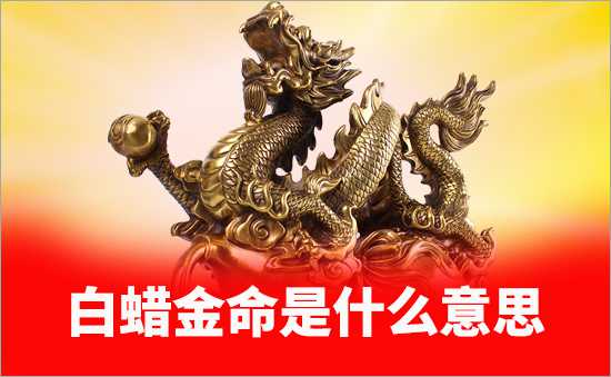 白蠟金命