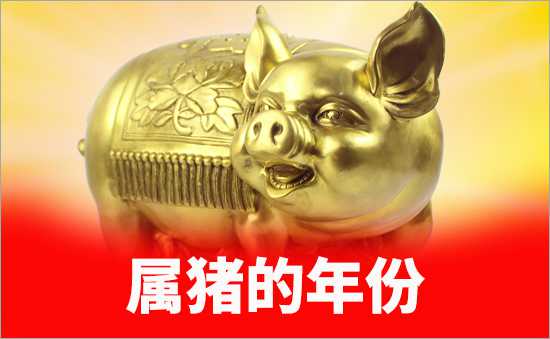 屬豬的年份