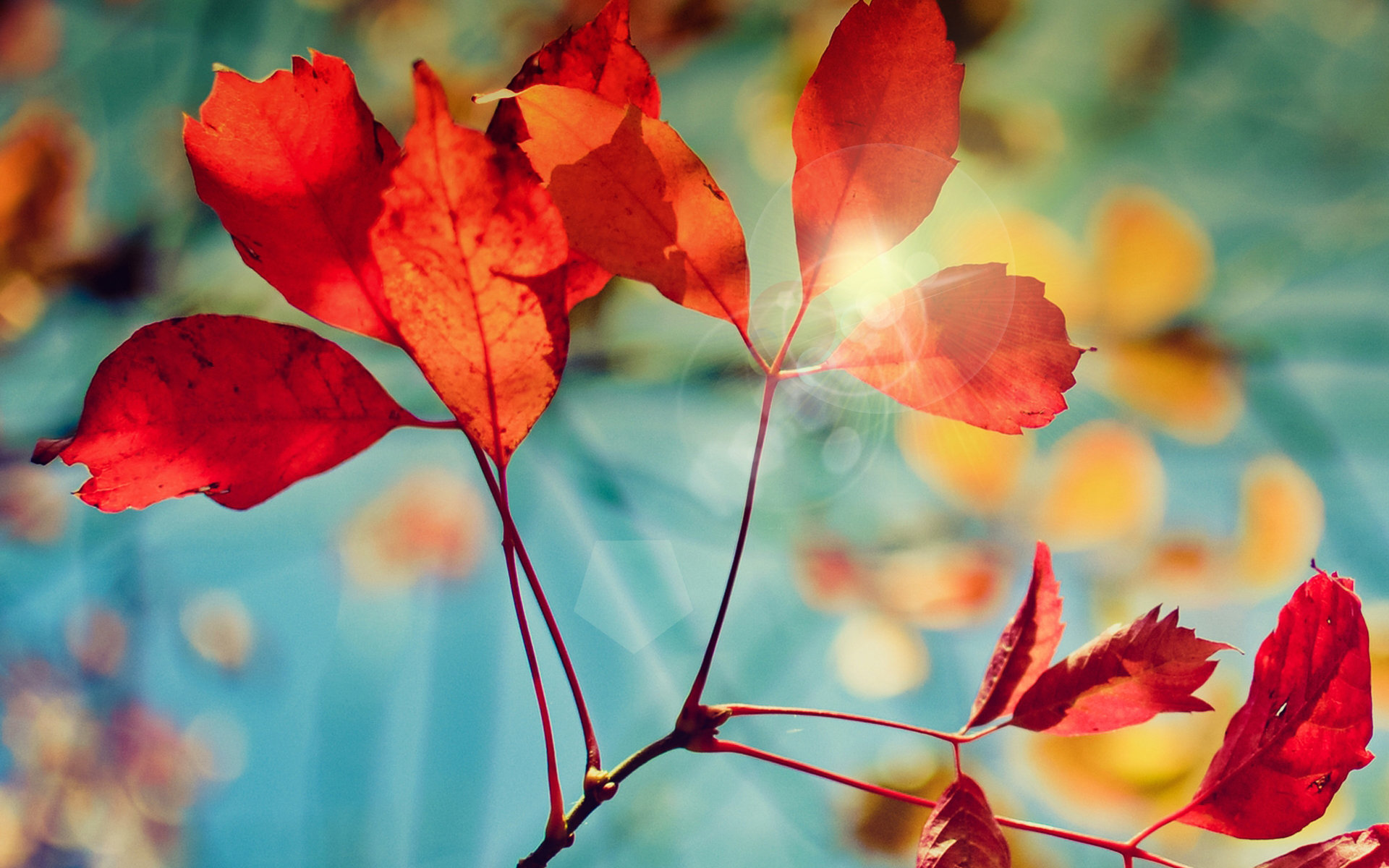 2019年農歷八月初四日子好不好是不是黃道吉日？(圖文)