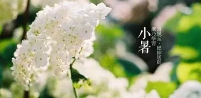 小暑吃什么傳統食物 小暑吃芒果有什么好處？(圖文)