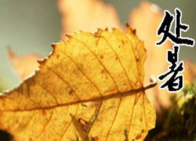 2019年處暑節(jié)氣財神吉位在哪個方位？處暑時辰吉神兇煞(圖文)