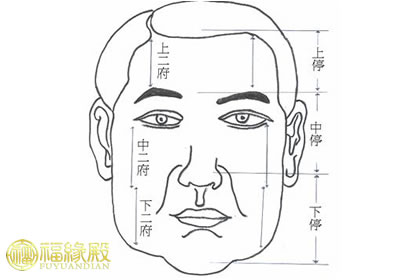 解析：面相六府有何說法？(圖文)