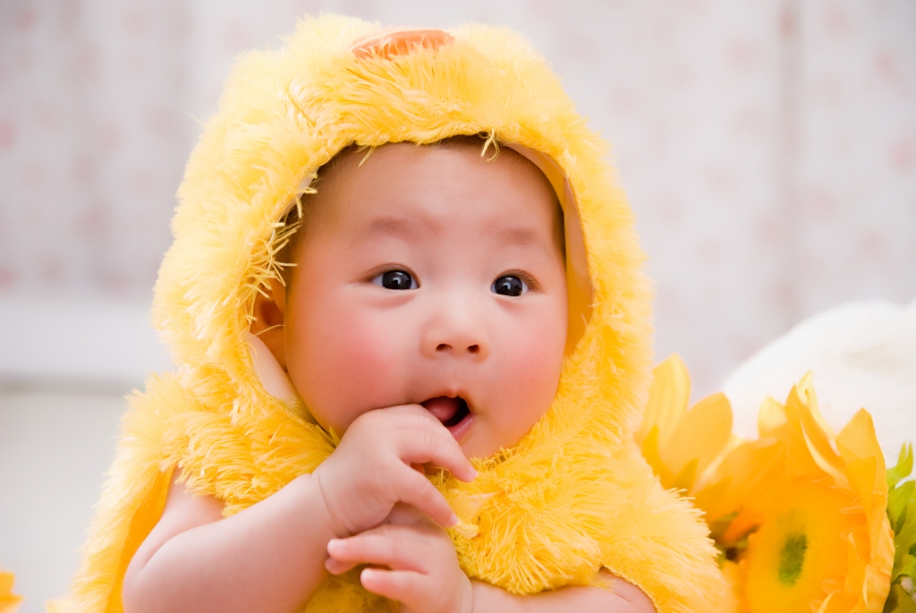 2019年二月二十五出生的男寶寶如何起名(圖文)