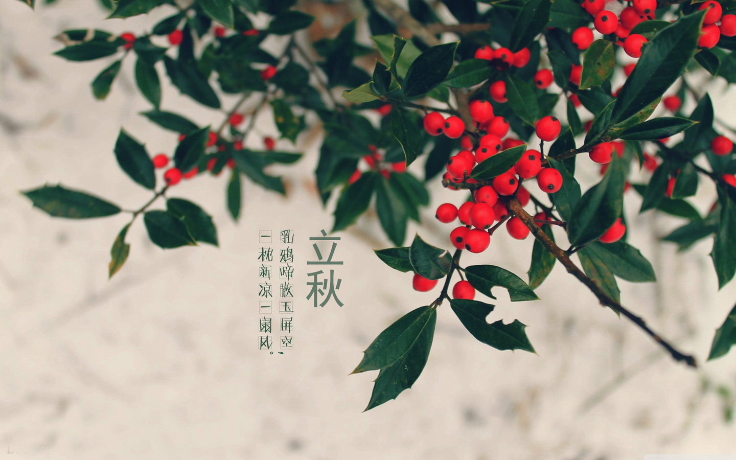 2019年立秋結婚好不好結婚有什么忌諱？(圖文)