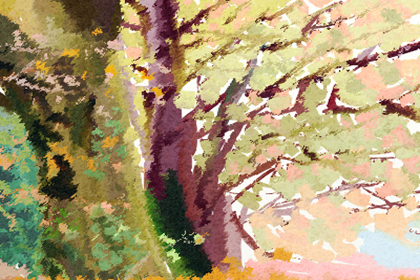 透過掃把眉看男人是不是到中年運勢不佳(圖文)