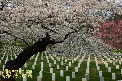 解析：墓地風水十大禁忌(圖文)