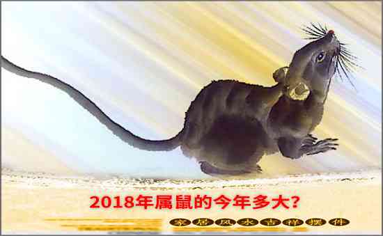 2018年屬鼠的今年多大