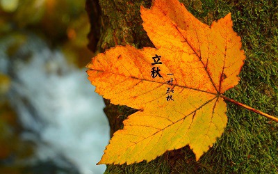 立秋出生的人命運如何？2019年立秋之時是幾時幾分？(圖文)