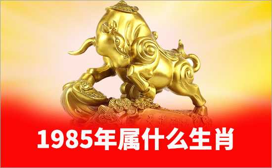 1985年屬什么生肖