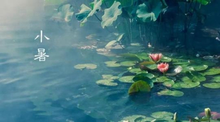 2019年7月7日小暑適合買房立券嗎,小暑后一個節(jié)氣是什么？(圖文)