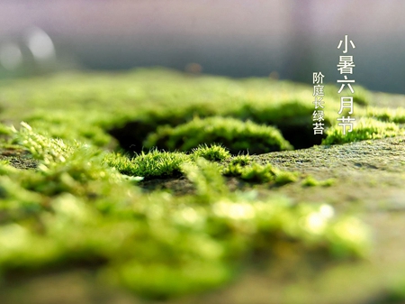 2019年7月7日小暑出行日子好不好,小暑是什么意思？(圖文)