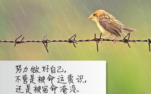 2019年農(nóng)歷九月初二出生的孩子是什么星座 性格優(yōu)缺點(diǎn)(圖文)