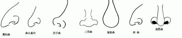 女人鼻子厚的面相好不好,鼻大代表著什么(圖文)